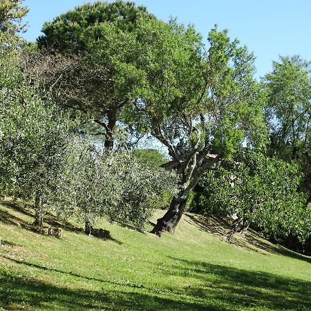 Santa Maria Della Pace Bed & Breakfast Montespertoli Exterior foto